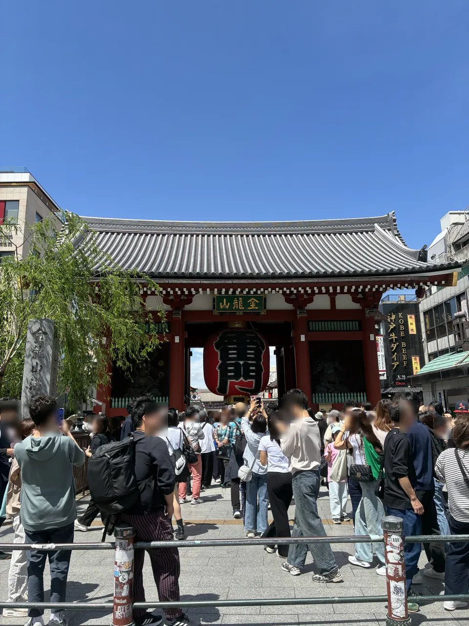 A large crowd gathered in front of the Kaminarimon Gate at Senso-ji in Asakusa with the red gate bearing 金龍山 (Kinryuzan) characters and a large red lantern visi